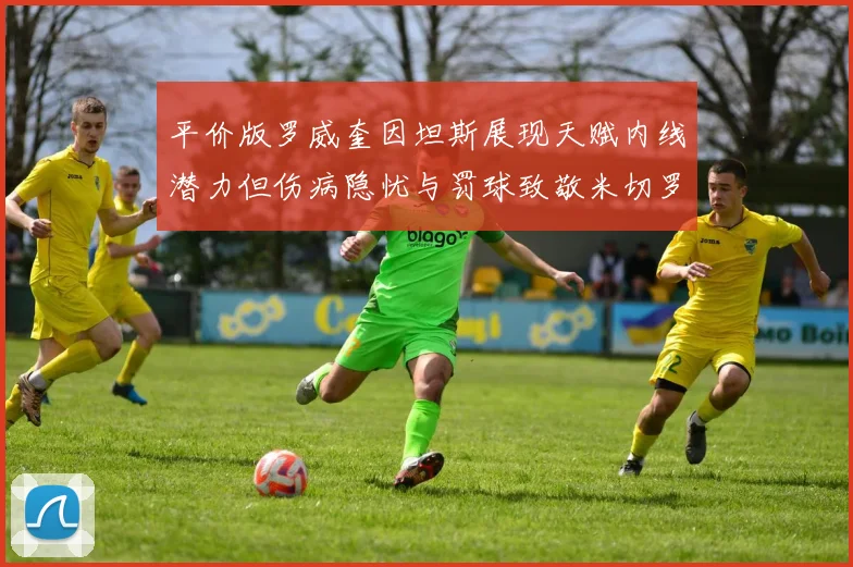 平价版罗威奎因坦斯展现天赋内线潜力但伤病隐忧与罚球致敬米切罗